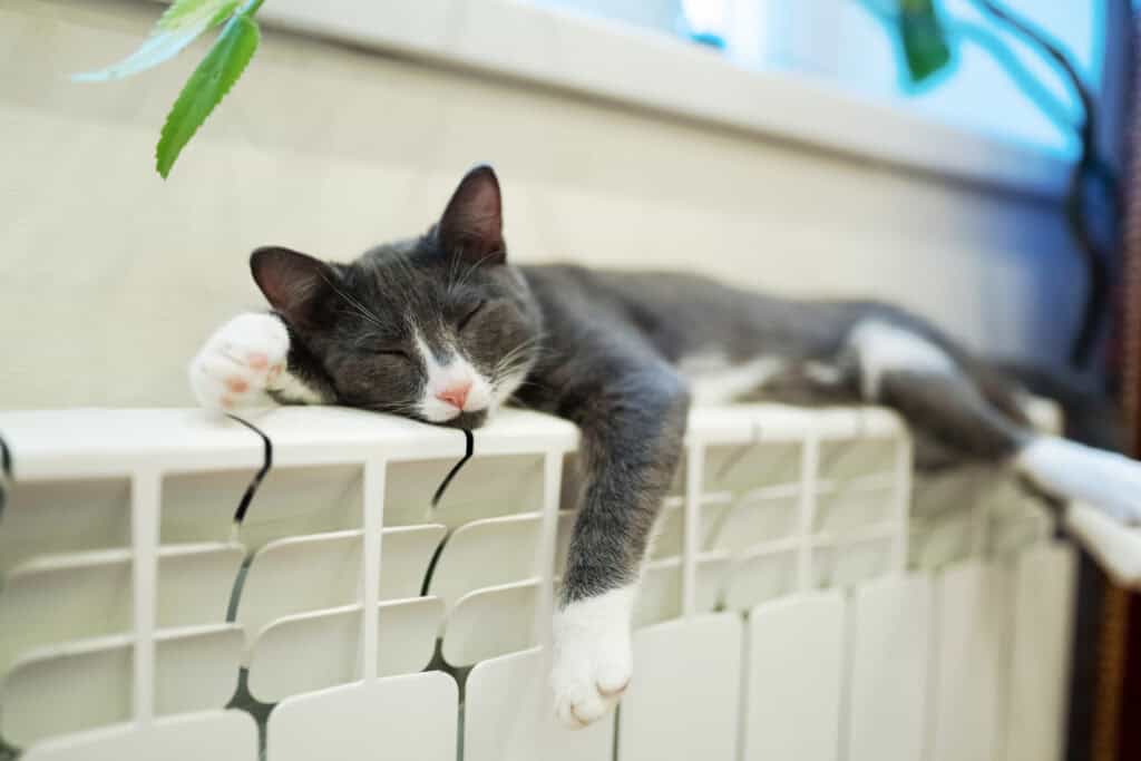 meilleur radiateur à inertie